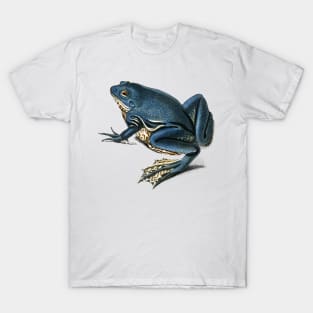 Blue Frog Hand drawn T-Shirt